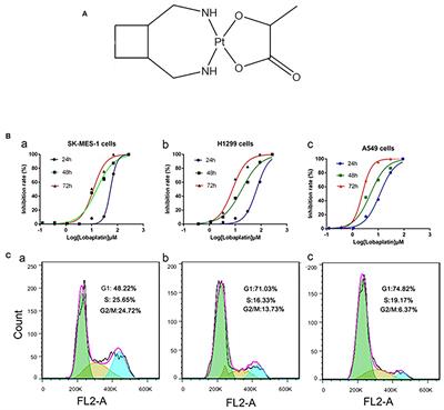 Lobaplatin-Induced Apoptosis Requires p53-Mediated p38MAPK Activation Through ROS Generation in Non-Small-Cell Lung Cancer